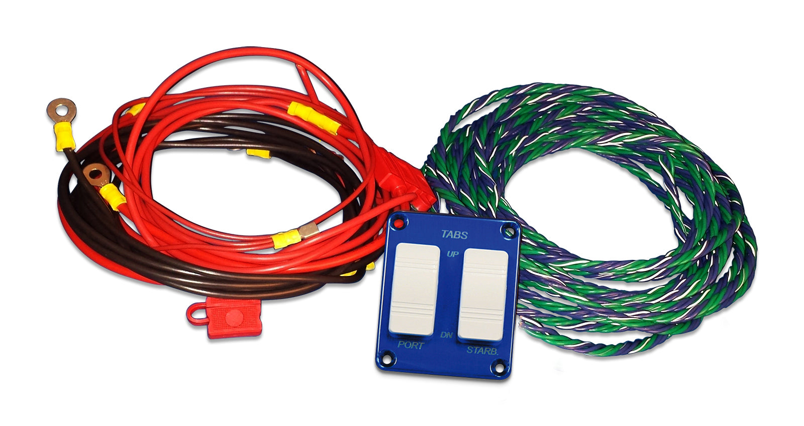 Wire Harness with Switch Panel