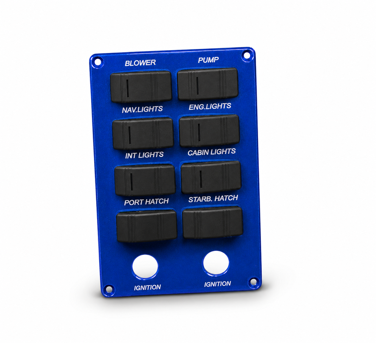 Switch Panel - Eight Carling Switches with Two Ignition Switches