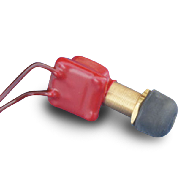 Push Button Switch