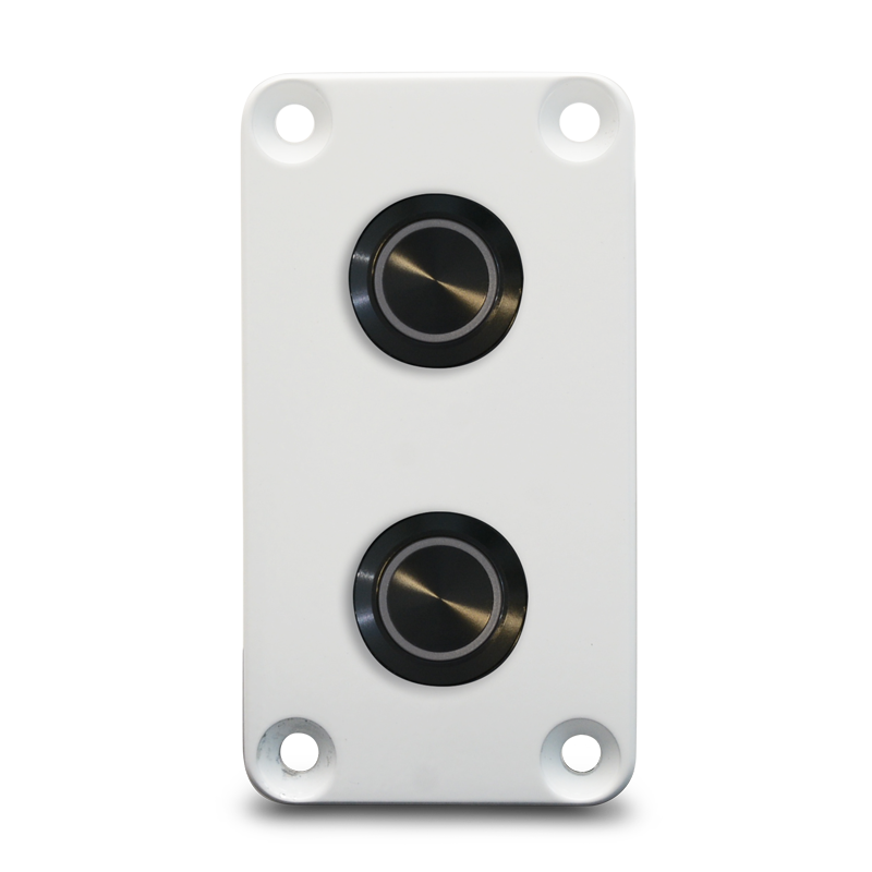 Switch Panel - Two Round Panel