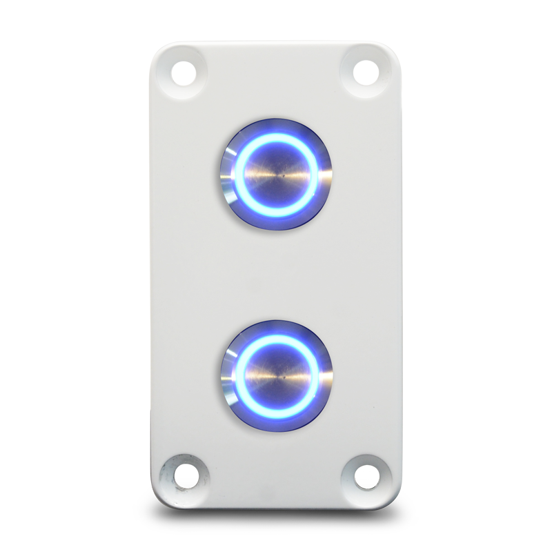 Switch Panel - Two Round Panel