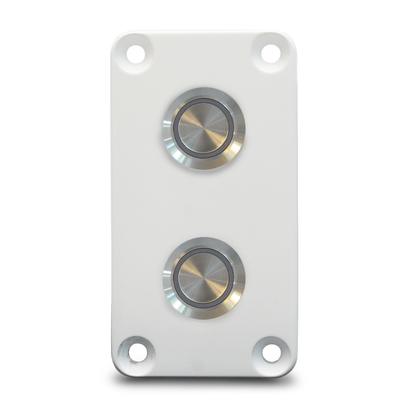 Switch Panel - Two Round Panel
