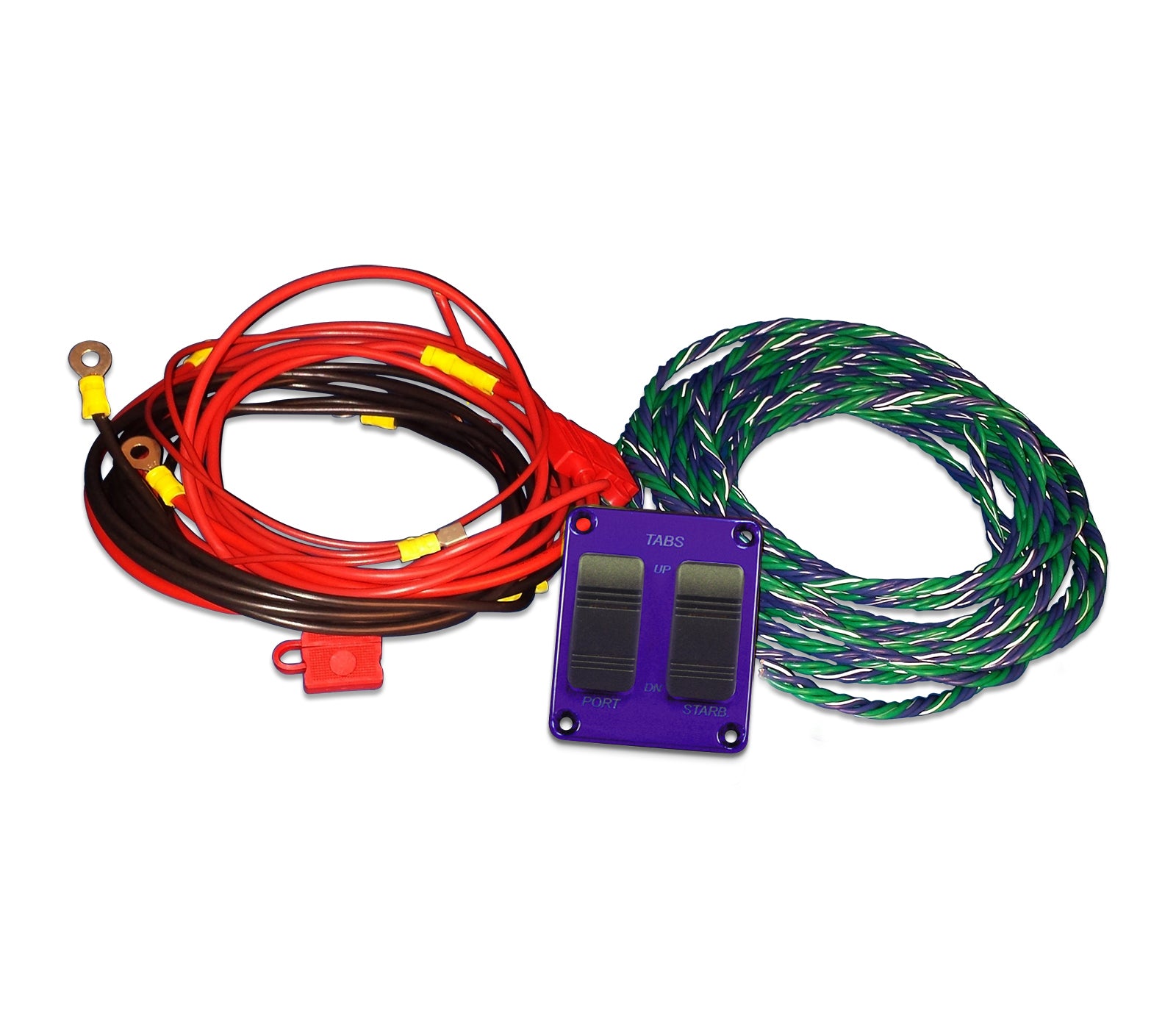 Wire Harness with Switch Panel