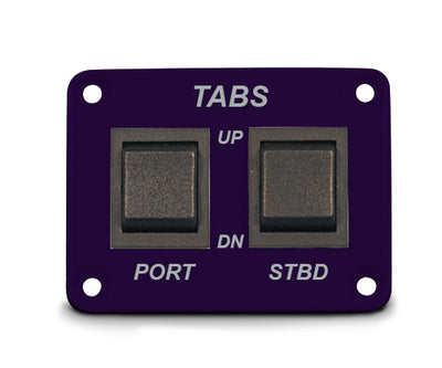 Switch Panel - Two Double Pole Switches