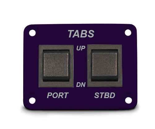 Switch Panel - Two Double Pole Switches