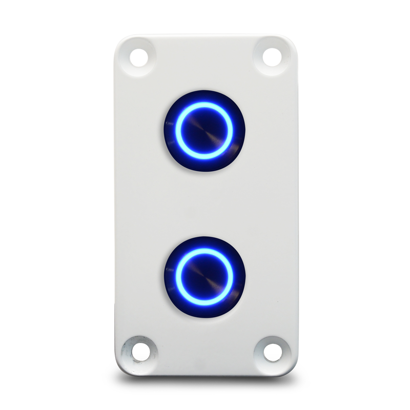 Switch Panel - Two Round Panel