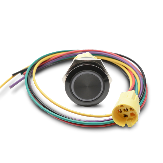 Round Push Button - Waterproof Switch - 19mm Momentary with Harness Latching Lighted Blue Stainless 12VDC - Black